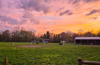 The Little Things Newsletter #467 – Life, laughter, and lots of great food!