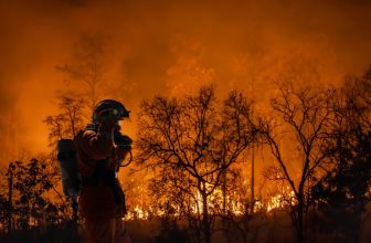 Trump Torched Decades of Science in Just 100 Days—and the Fallout Is Global