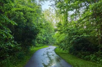 The Little Things Newsletter #472 – Life, laughter, and lots of great food!