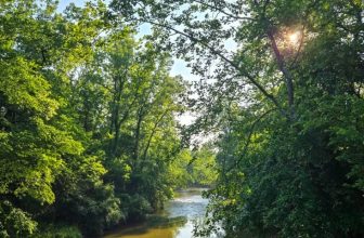 The Little Things Newsletter #473 – Life, laughter, and lots of great food!