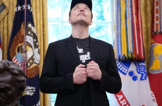 Elon Musk Has a New Plan to Win Back MAGA