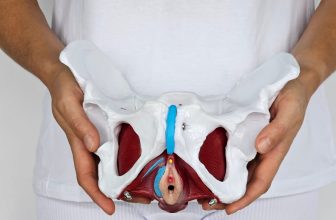 Your Pelvic Floor, Explained: A Candid Q&A with Floored Author Dr. Sara Reardon