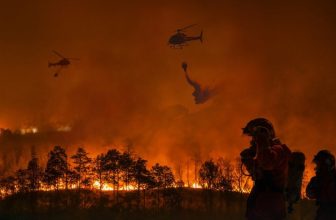 Alarming Conditions and Federal Chaos Could Spell a Disastrous California Fire Season
