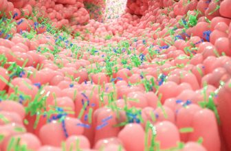 Newly Discovered Gut ‘Sense’ Could Change How We Think About Hunger and Health