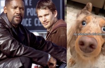 This ‘Training Day’ Meme Is Getting Me Through the Collapse of American Democracy