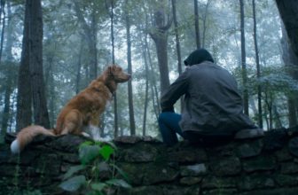 The New ‘Good Boy’ Trailer Puts the Dog in Dog Horror