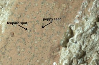 Perseverance Rover Finds Potential Sign of Ancient Life in Martian Rock