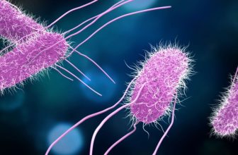 Scientists Are Testing a Vaccine for Food Poisoning. It Can’t Come Soon Enough