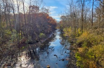 The Little Things Newsletter #497 – Life, laughter, and lots of great food!