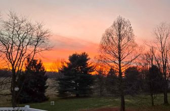 The Little Things Newsletter #501 – Life, laughter, and lots of great food!