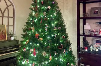 12.6 Friday Faves – The Fitnessista